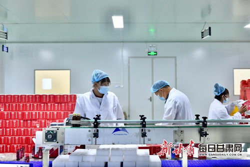 白銀枸杞與信息技術咨詢服務的融合 錢景可期的產業發展新路徑